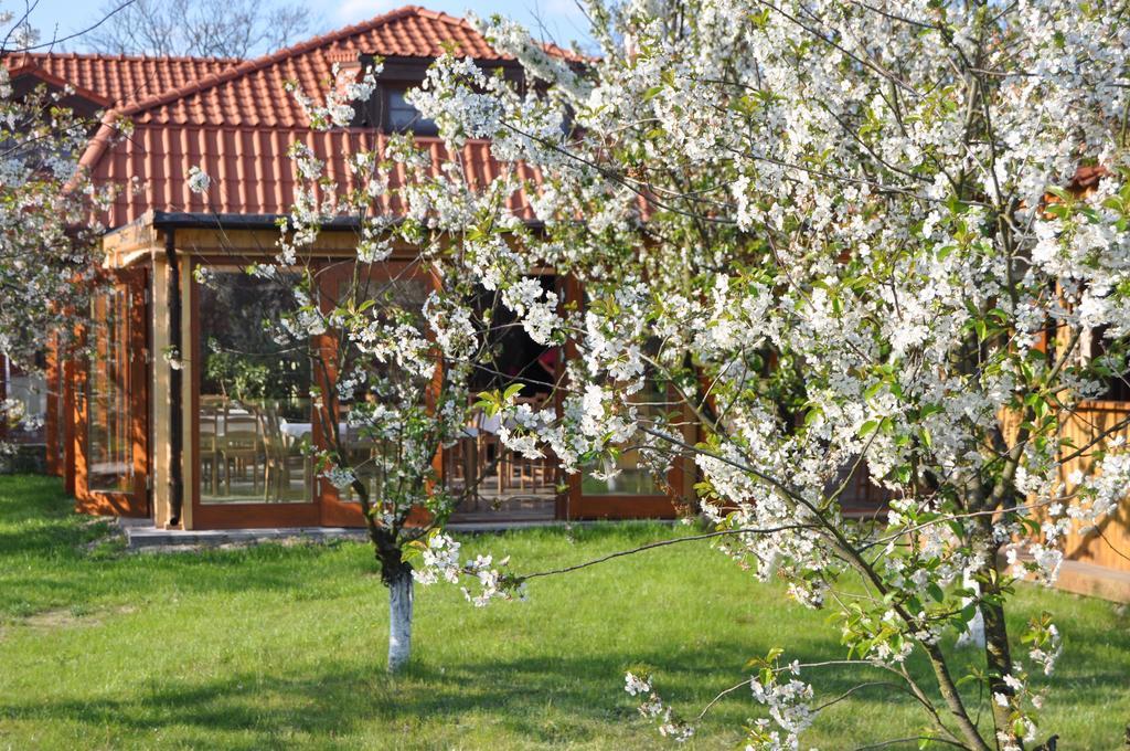 Gosciniec Gryszczeniowka & Spa Wargowo 외부 사진